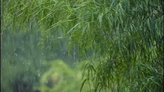 Video Footage {Background Video}: Hujan/ Rain Full HD