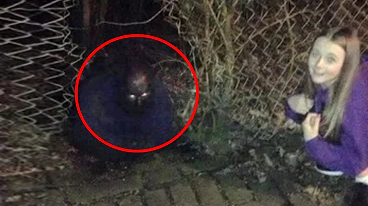 25 Unsolved Mysteries That Can Not Be Explained