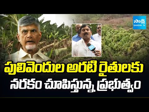 Banana Farmers Facing Huge Problems in Pulivendula | Chandrababu Govt | Sakshi TV - SAKSHITV
