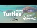 Vegan VLOG Hawaii - Twin Turtles and Family Feasts