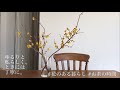 vlog 花のある暮らし/お茶の時間