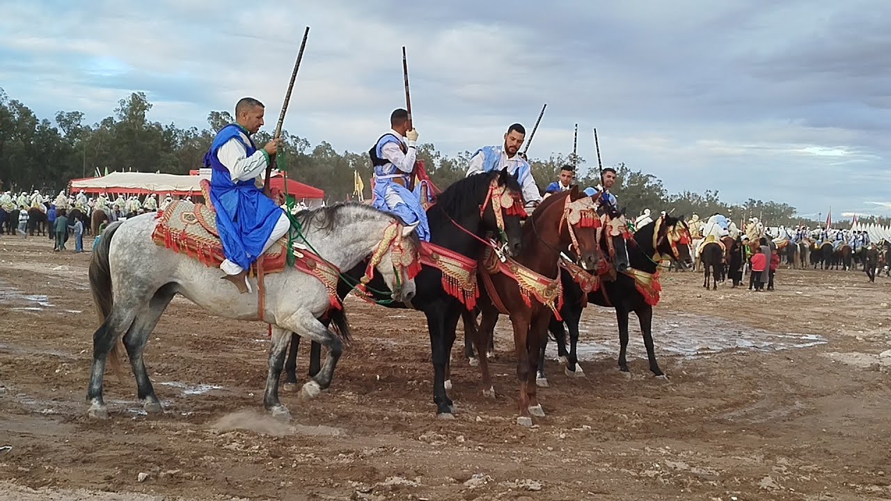 جولة خفيفة في مهرجان الفروسية الدي اقيم بمدينة اليوسفية
