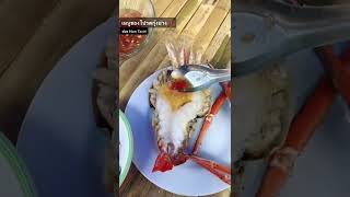 วิธีทำกุ้งย่างง่ายๆอร่อย🦞 #ฝากติดตาม #ช่องยูทูป #นนท์ทาจิ #พี่นนท์พากิน #เอ็นจอยคับผม #viral