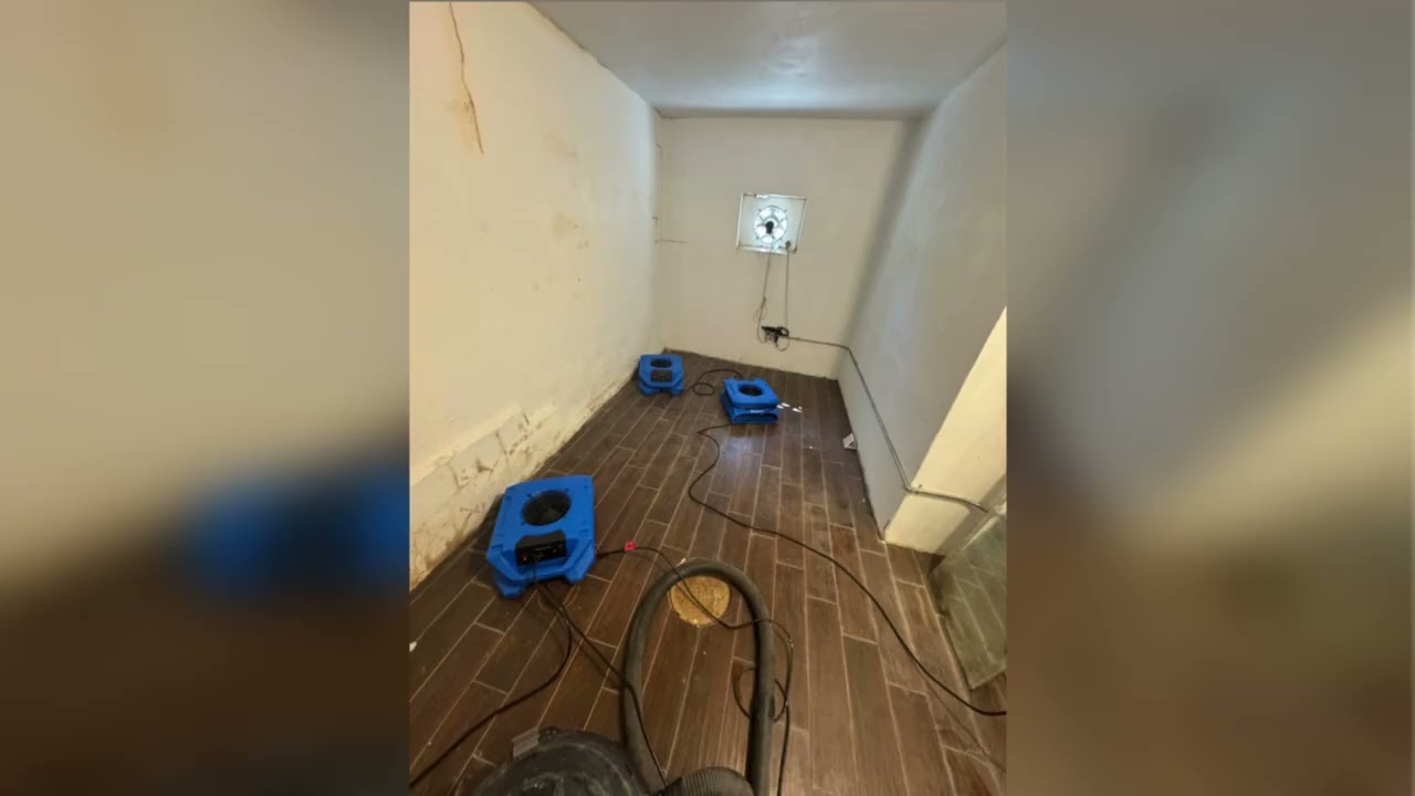 Mold Removal Near Me | Top Mold Shield Restoration Services in Baton Rouge & Beyond