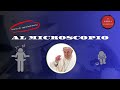 POVERO È BELLO - DAL VANGELO DI PAPA FRANCESCO