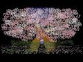 やくしま森祭り2013CM用