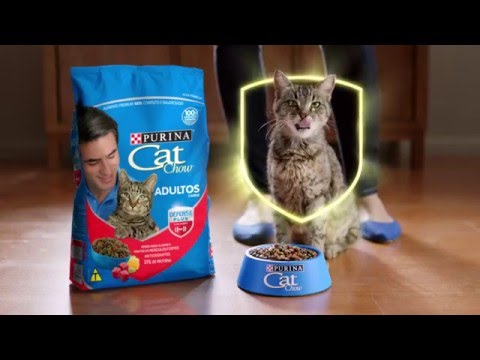 Vídeo: Comida Cat Chow Para Gatos: Avaliação, Composição, Prós E Contras, Avaliações De Veterinários E Proprietários
