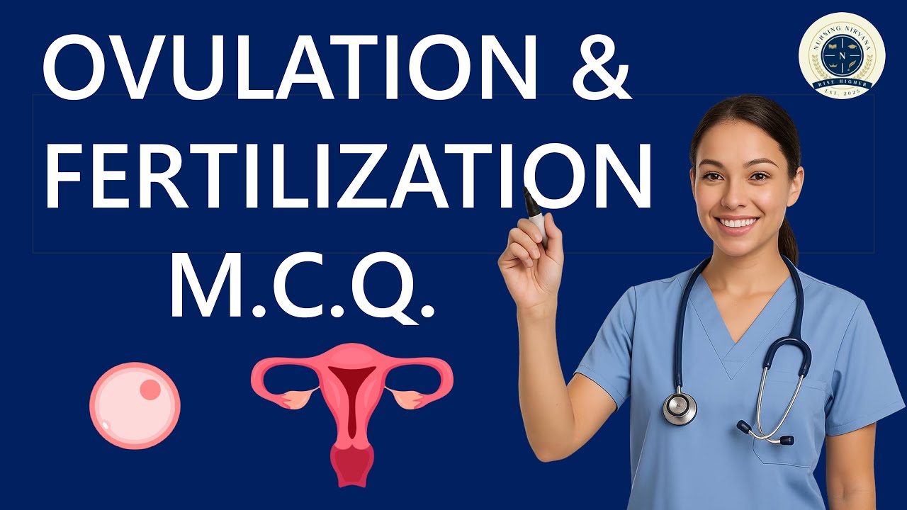 Ovulation and Fertilization - Maternal Nursing | Nursing Nirvana |