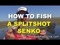 How To Fish A Split Shot Senko | Bass Fishing