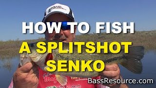 How To Fish A Split Shot Senko B Fishing