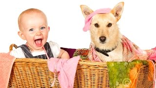Дети от души смеются над собаками * Barn hjertelig le av hunder Дети от души смеются над собаками * Barn hjertelig le av hunder