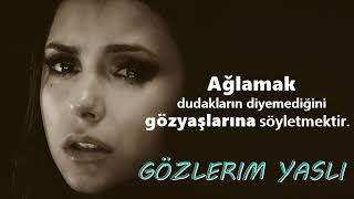 Gözlerim Yaşlı(Cover) - Gurbet Yollarında Toprak Misali, Tozar Dolaşırım, İbrahim Tatlıses Klasikleri Resimi