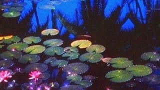Eels- my beloved monster (speed up)