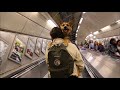 Dogs must be carried | London tube escalator ride with a large dog