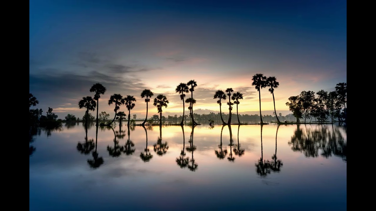 Soft Peaceful Music for Relaxation and Rest