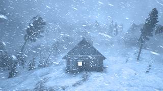 I’ve Never Slept This Deeply… Try This Cozy Winter Van Night. Winter  Blizzard Relaxing Sleep Sounds screenshot 5