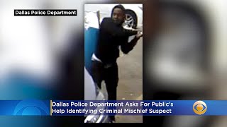 Dallas Police Department Asks For Public's Help Identifying Criminal Mischief Suspect