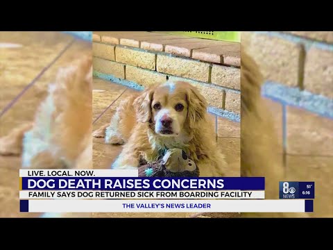 Dog boarding concerns by customers after allegations pet became ill, died following stay at facility