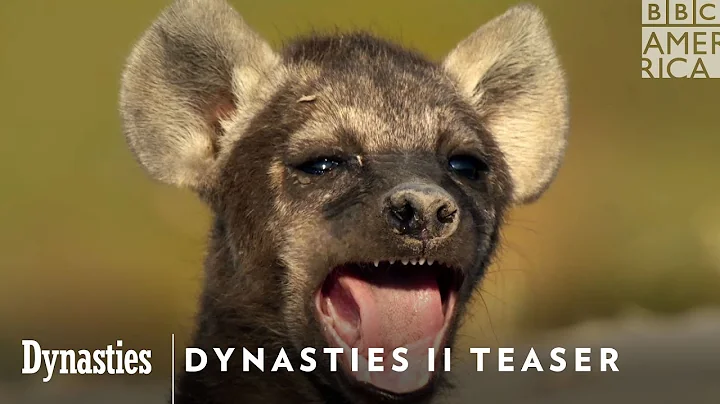 Dynasties II Teaser Trailer | Saturdays on BBC America