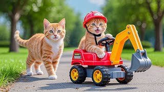 Mama Cat Works Hard at Bakery Shop to Buy a New Toy Excavator for Kitten Heartwarming Story 🐾🐱🥖🚜