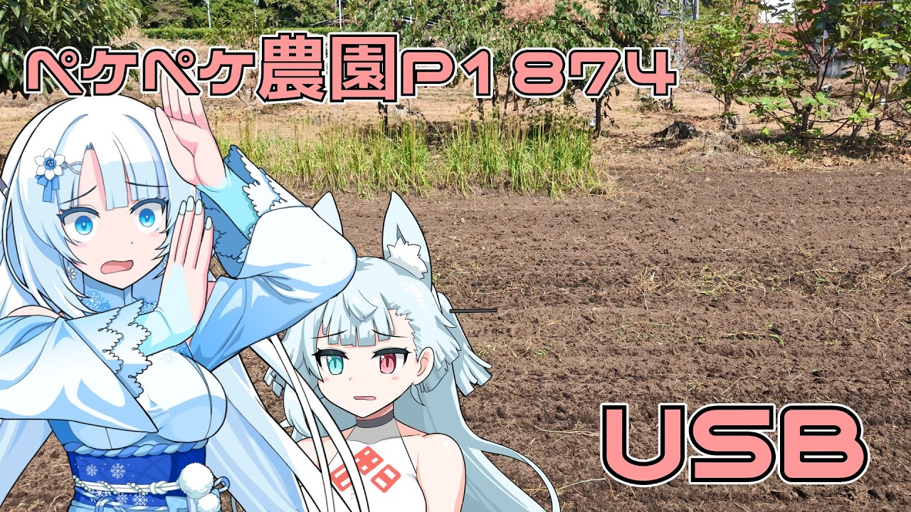2026年10月9日 日記1874 まさかの出来事が発生したけど、家庭菜園をもくもく