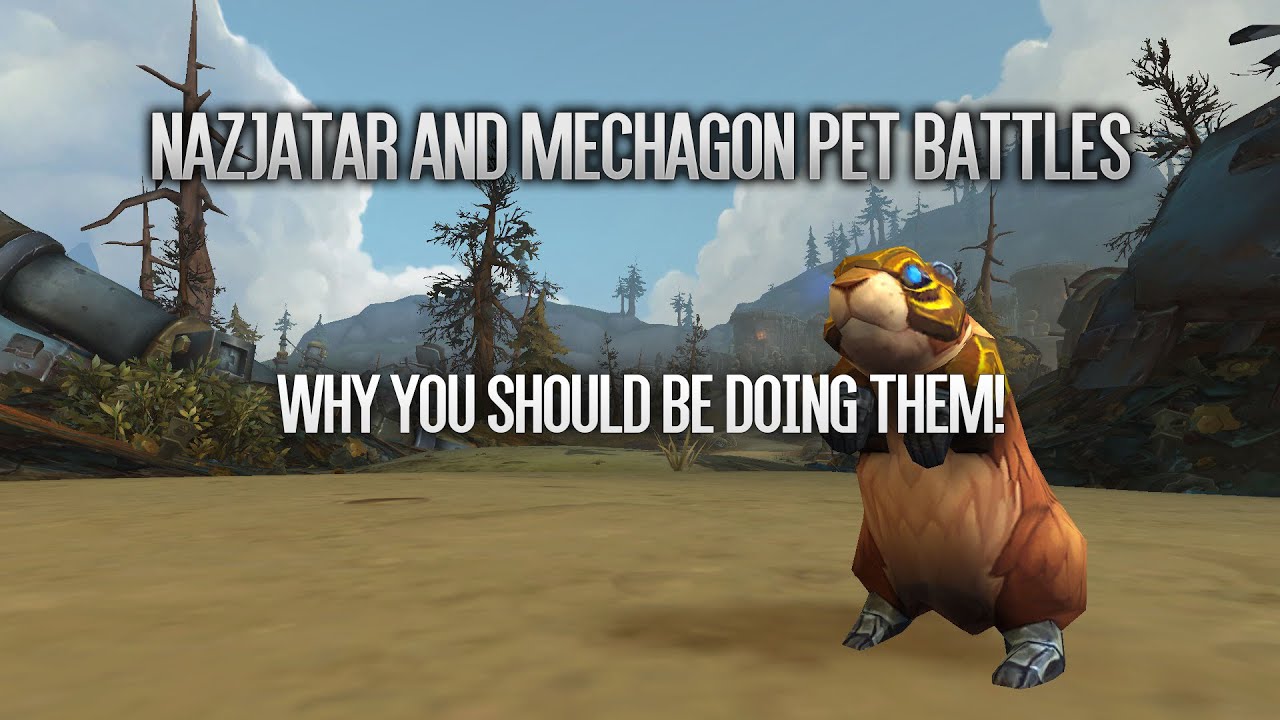 Pet Battle Guide to Nazjatar & Mechagon & Why You Should Do Them!
