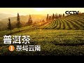 《普洱茶》第一集 茶与云南 | CCTV纪录