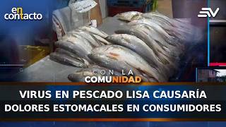 Virus En Pescado Lisa Causaría Dolores Estomacales En Consumidores En Contacto Ecuavisa