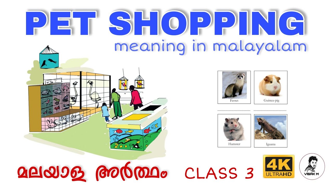 Class 3 English Pet Shopping poem in Malayalam std 3rd unit 6 Pet