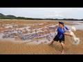 マイナス干潮に現れる大量の生物に投網を投げると【前編】
