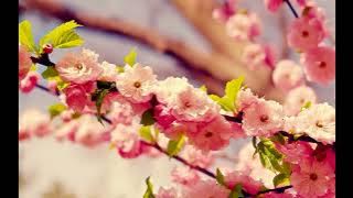 Milk Tea - Thumping Spike OST