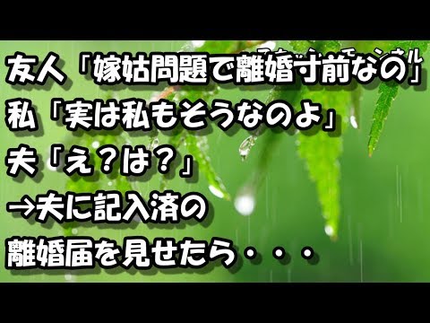 友人「嫁姑問題で離婚寸前なの」私「実は私もそうなのよ」夫「え？は？」→夫に記入済の離婚届を見せたら・・・ 【スカッと】