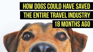 How Teaching Old Dogs a New Trick Could Have Saved the Entire Travel Industry
