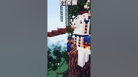 When Wandering Traders Spawn In The Worst Place Possible...