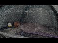 SOLO RAIN Camping In A SMALL TENT Comfortable And Relaxing Place ASMR