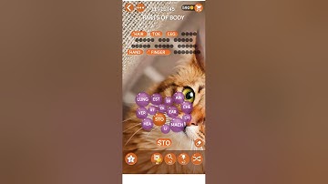 Word Pearls Level 145 | Word Pearls Parts Of Body