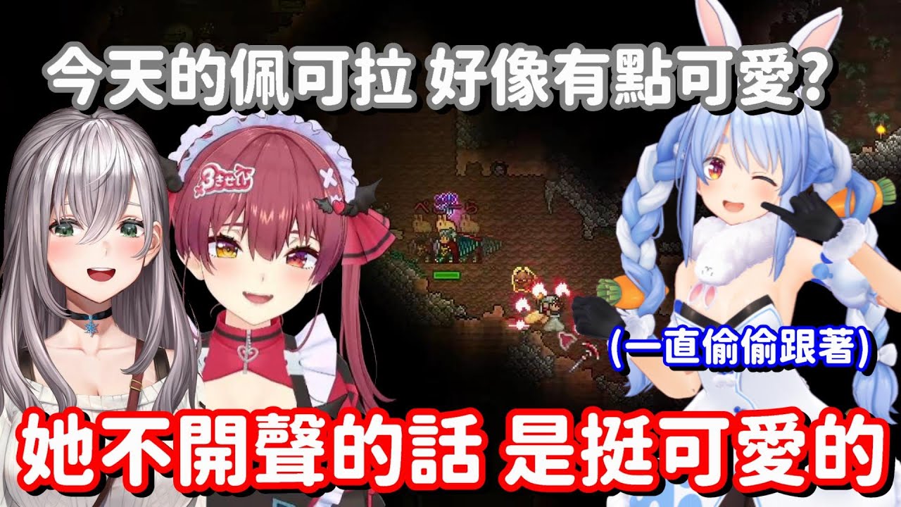 只要不開聲說話的話 這兔子還是挺可愛的... 雖然這也太失禮了 但船長你說得十分對啊w【Hololive中文精華】【寶鐘瑪琳】