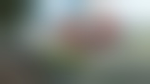 Indivisible Prototype Full Walkthrough (PC 1080p 60fps Commentary)