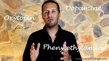 Relationship Advice: The 5 Stages Of Relationships