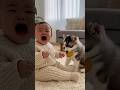 Baby vs Puppy: The Snack Thief! ”「赤ちゃん vs パピー：おやつ泥棒」　#funny #Retriever #husky #baby #cute
