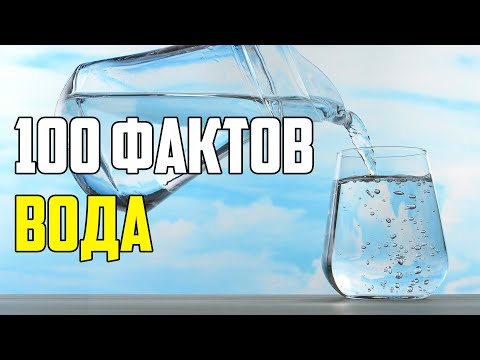 Видео: Интересни факти за кактусите