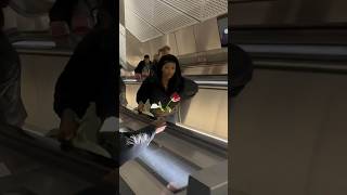 Escalator Roses