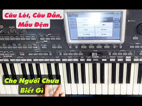 Video Câu Lót Và Mẫu Đệm Cho Người Mới Bắt Đầu Chơi Bolero |... - YouTube