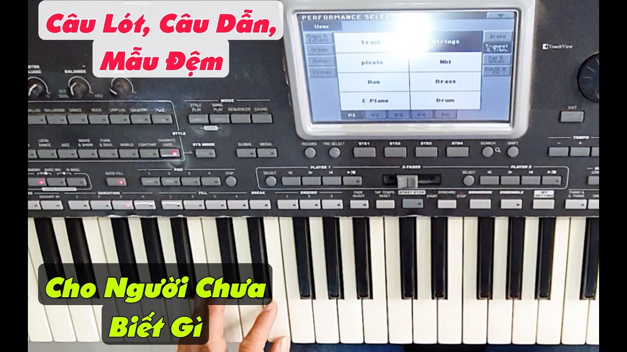 Câu Lót Và Mẫu Đệm Cho Người Mới Bắt Đầu Chơi Bolero | Mẹo Đệm Hát