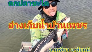 EP10. ตกปลาชะโดอ่างเก็บน้ำบ้านเพชร จ.ชัยภูมิ (GiantSnakehead fishing at Ban Phet Reservoir )