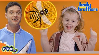 What Do You Know About Bees? Buzz Buzz Body Brothers Ékidsjr