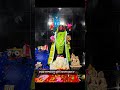 জনমের শোধ ডাকি গো মা তোরে 🙏কোলে তুলে 🌺🙏জয় মা তারা 🌺 kali maa status 🌺🙏#taramaa #boromaa #mataji #god