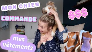 Mon chien choisit les vêtements que je commande. - YouTube