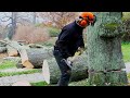 Big Tree Removal , Big Stump Grinding , Most Powerful Stump Removal Machines.