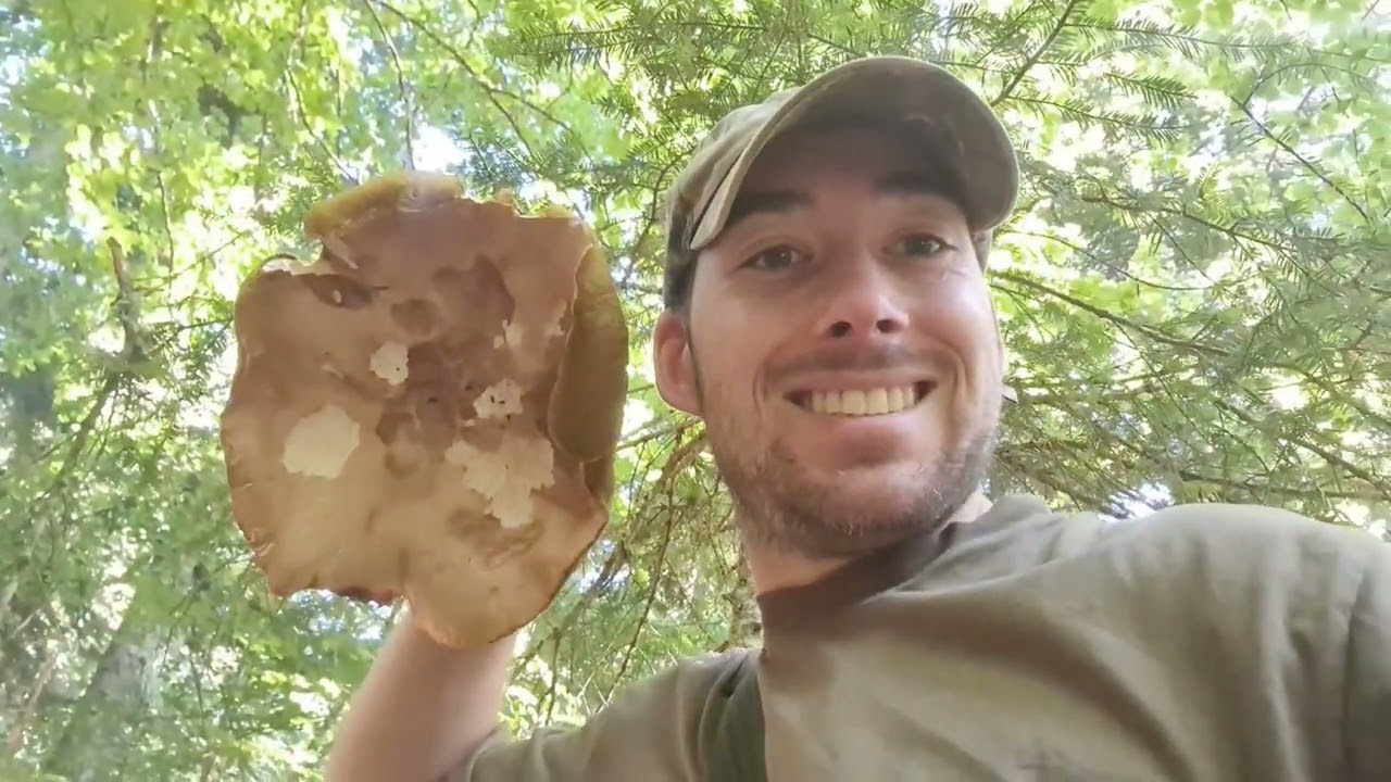 12 août Dernière prospection avant le retour de la pluie Encore un cèpe XXL